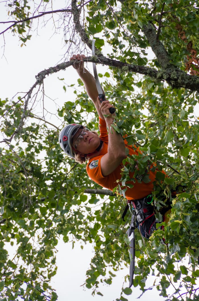 about-02 Arborist in action using safety gear to prune trees outdoors in Lepaa, Finland.