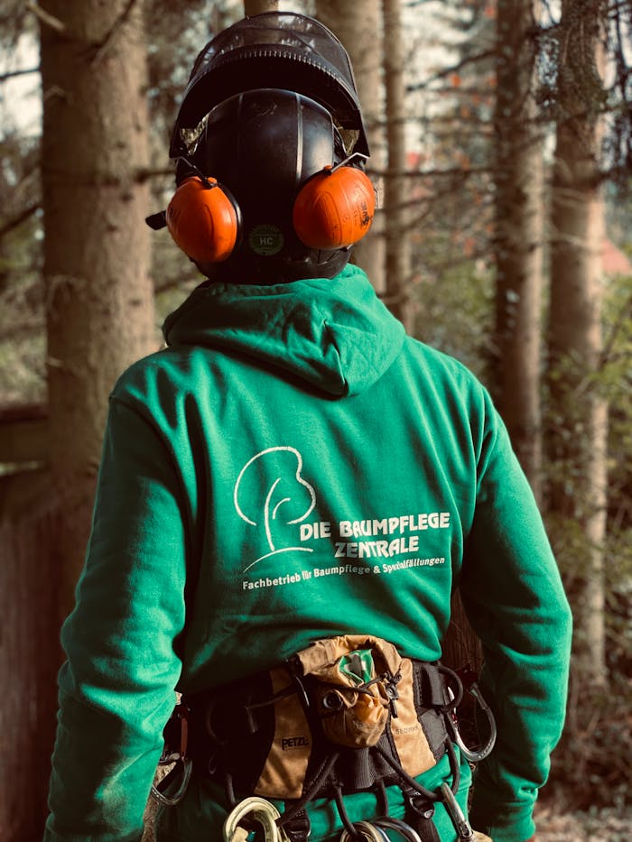 services-02 Back view of a lumberjack in safety gear working in a forest in Regenstauf, Germany.